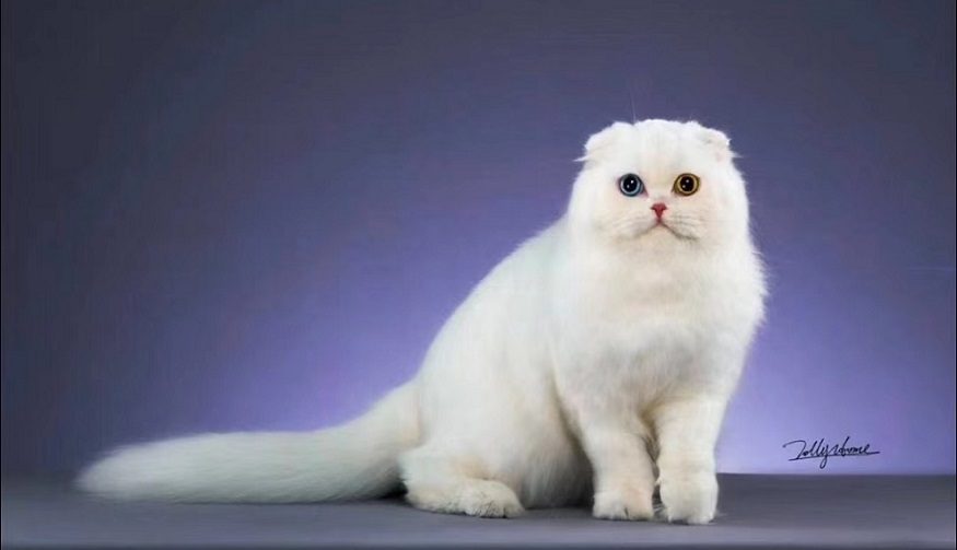 1654195614263548.jpg 1.jpg